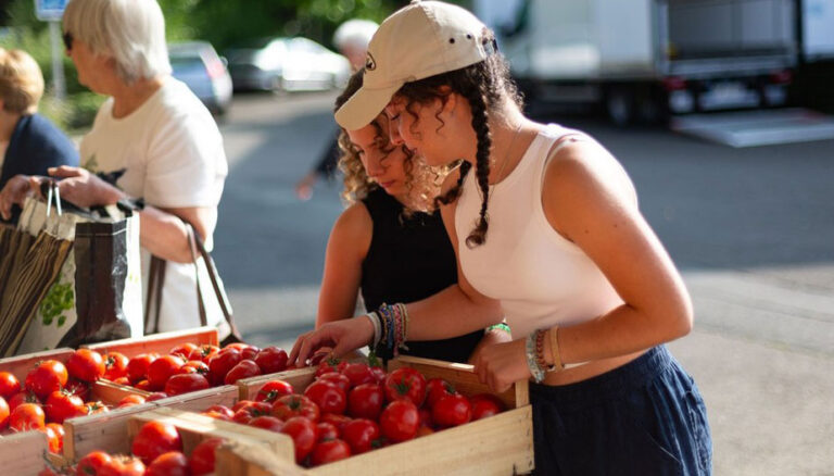 Agenda des rencontres